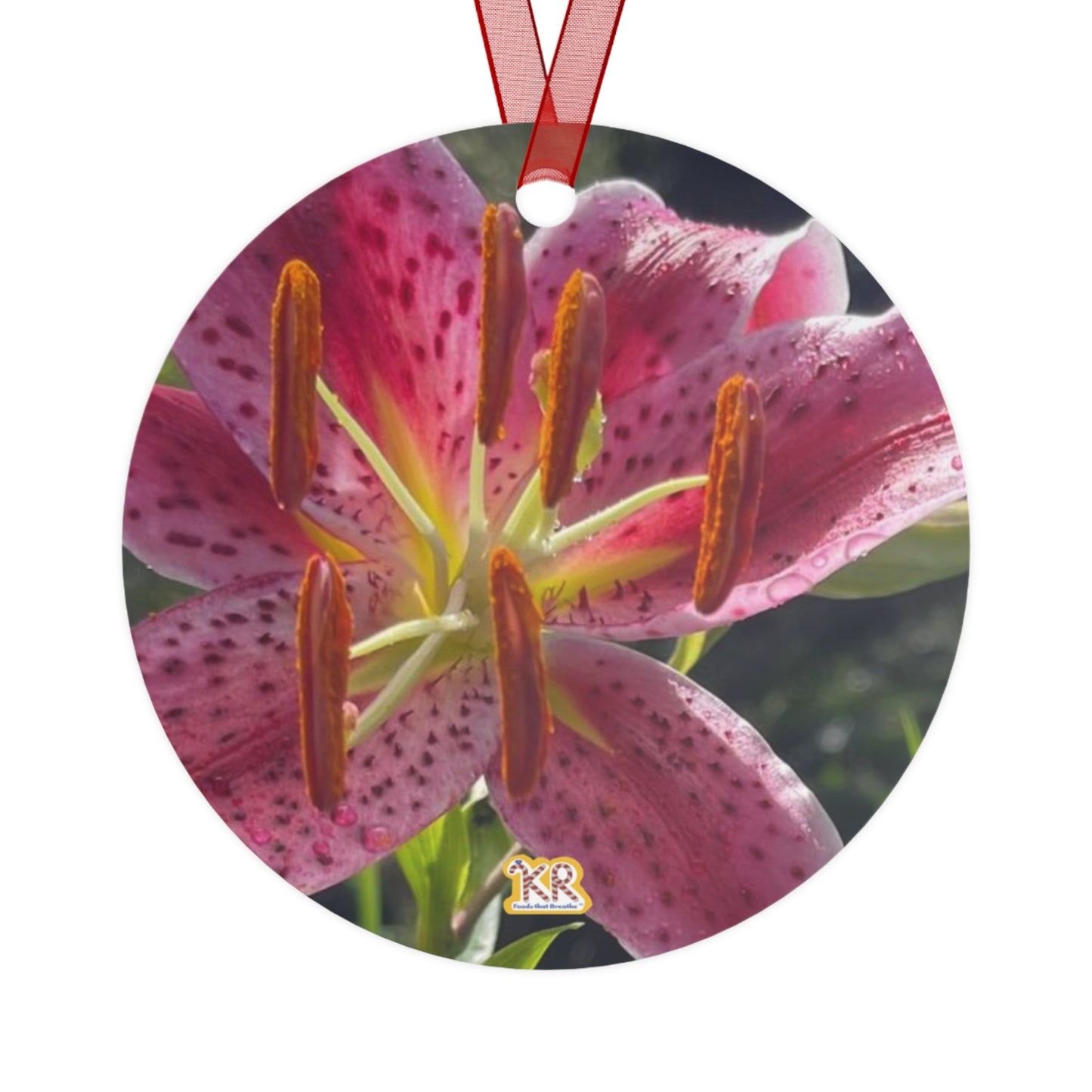 Set of 9 Cleaning Charms