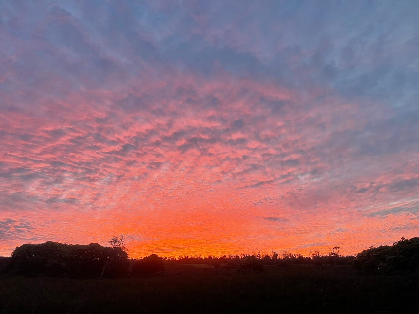 Personal Land Cleansing