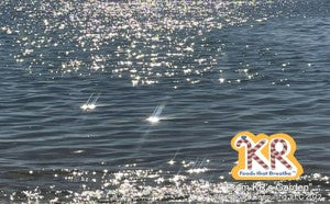 103 Diamond Daze (size: 3.375″ x 2.125″ landscape)