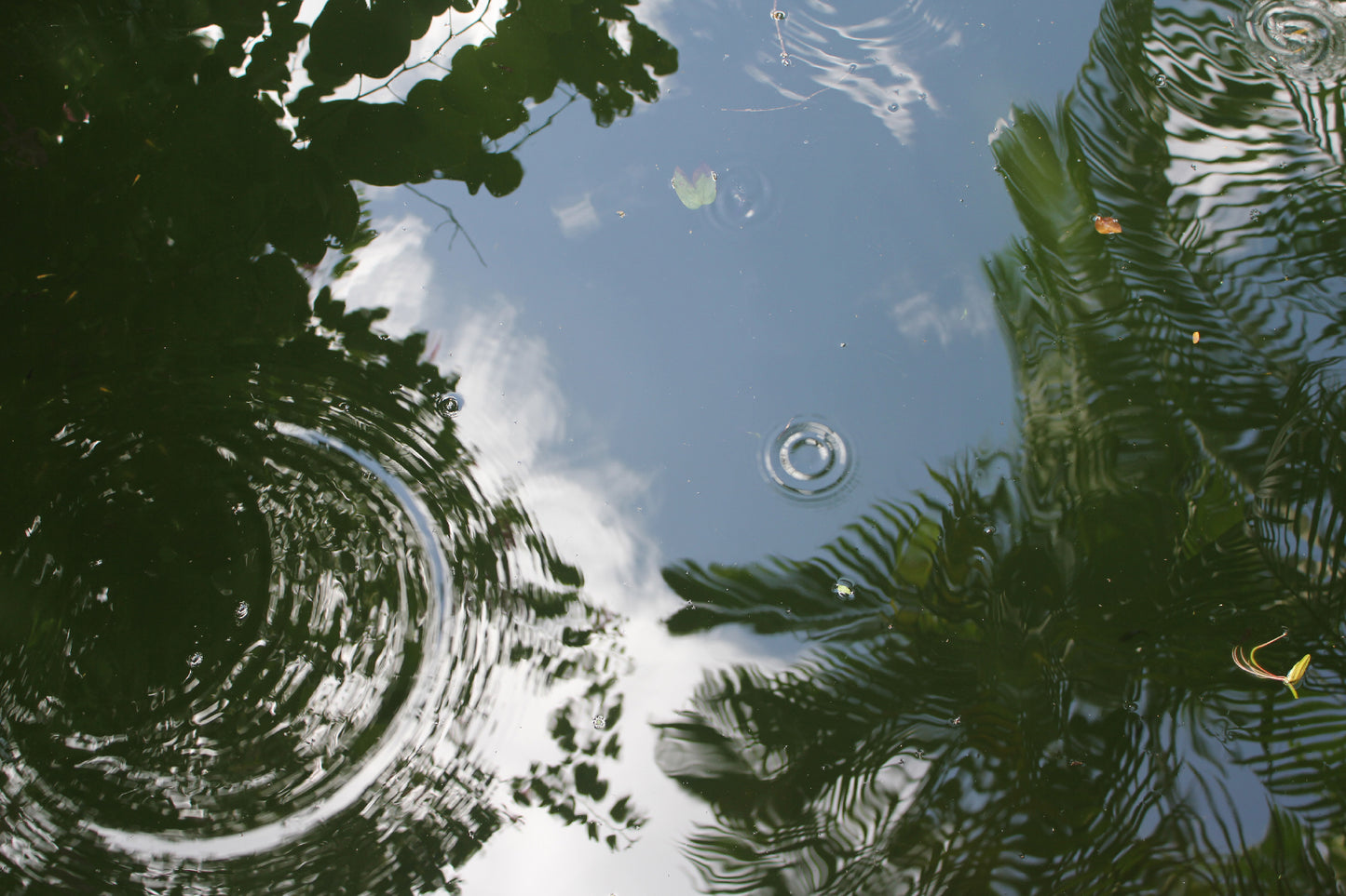 104 Drops (size: 3.375″ x 2.125″ landscape)