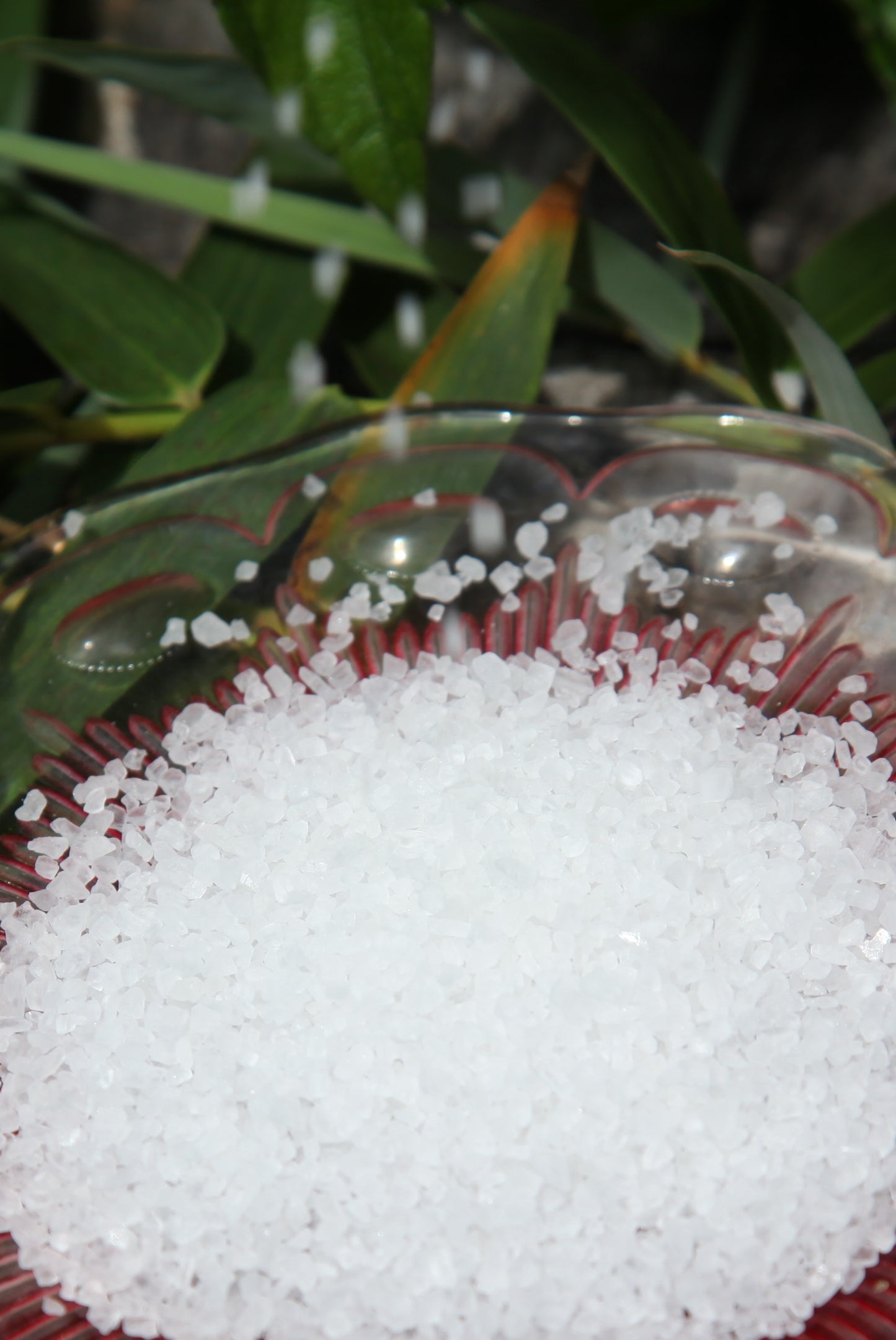 Hawaiian Salt