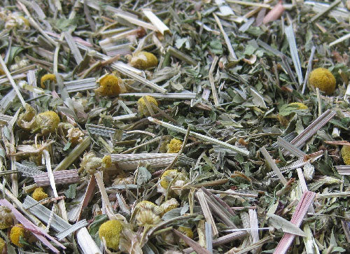 Pine Tree Tea