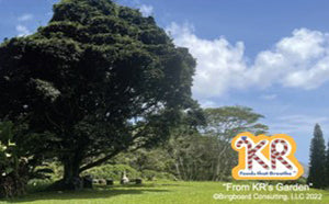 105-1 Tree to Life (size: 3.375″ x 2.125″ landscape)