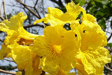 Business Absentee Bodywork Inventory