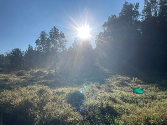 Business Land Cleansing - Deposit