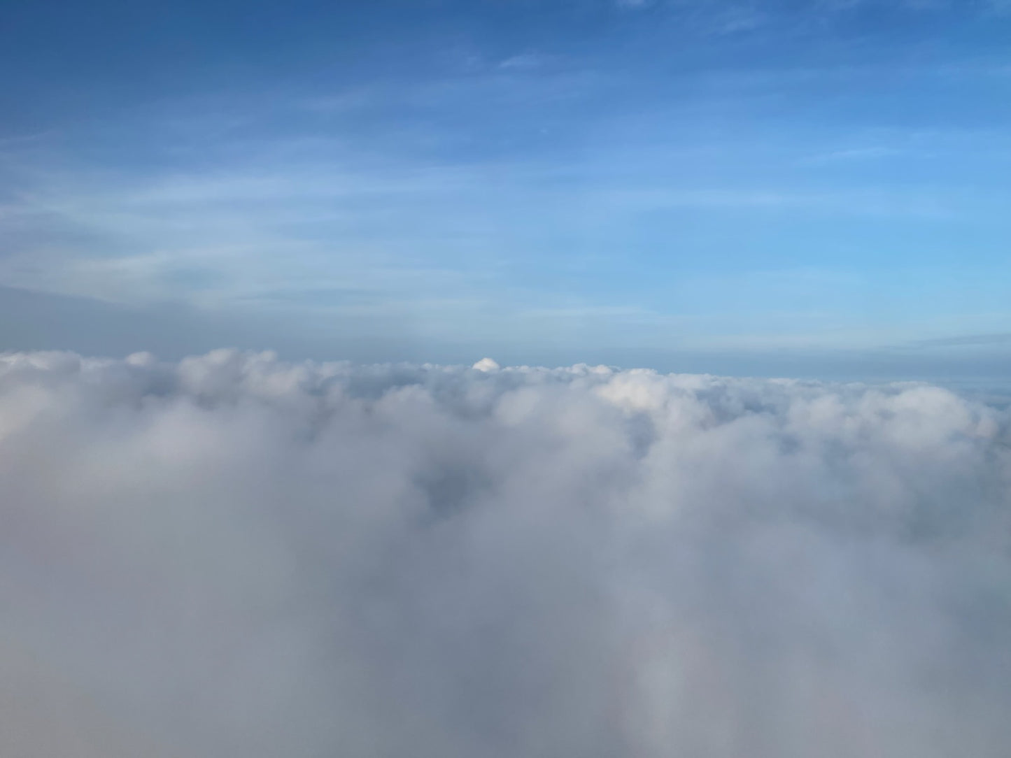 Basic ll - IZI LLC Sponsors SITH® Class Manual