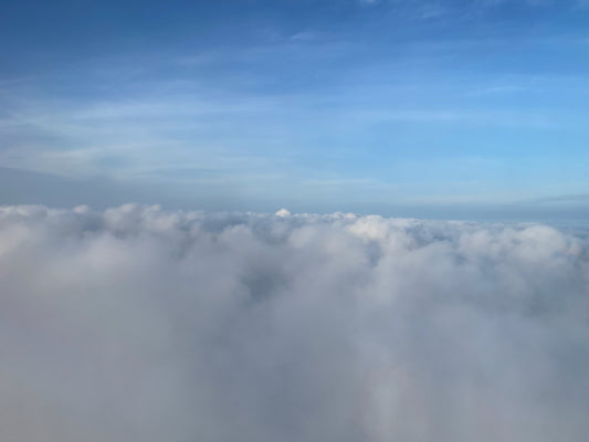 Basic ll - IZI LLC Sponsors SITH® Class Manual