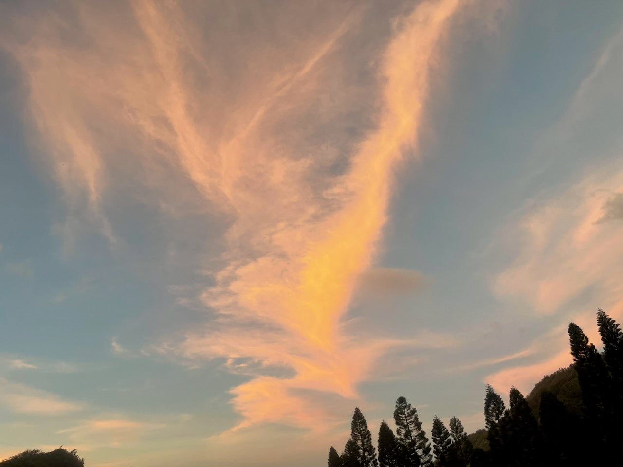 Basic I - IZI LLC Sponsors SITH® Class Manual