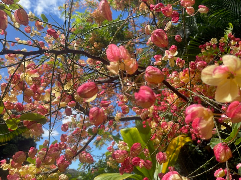 Tool Menu - IZI LLC Sponsors SITH® Class Manual